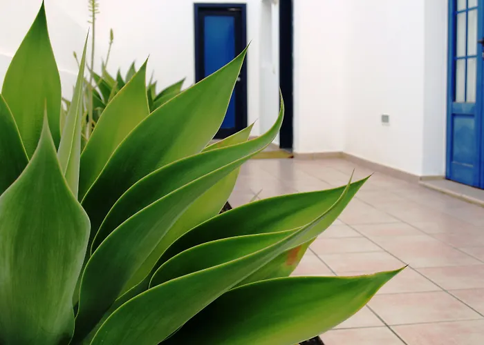 Puerto Rubicon Hotel