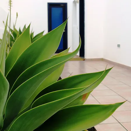 Puerto Rubicon فندق
